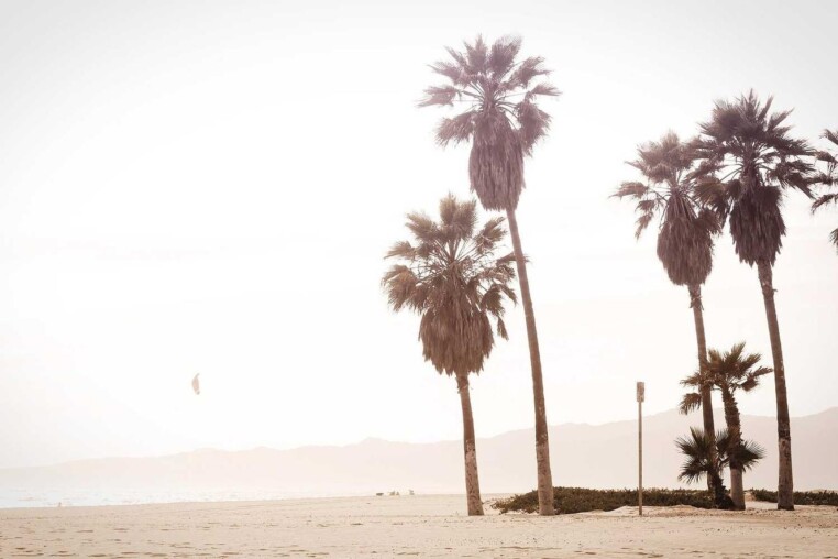 Qui est aspernatur porro quas